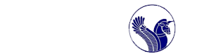 iran airtour